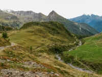 AX2010-Mittenwald-Gardasee-03-Moos-062