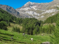 AX2010-Mittenwald-Gardasee-04-Rabland-018