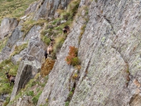 AX2010-Mittenwald-Gardasee-04-Rabland-069