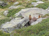 AX2010-Mittenwald-Gardasee-04-Rabland-070