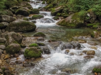 AX2010-Mittenwald-Gardasee-06-Madonna-032