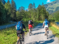 AX2011-Obersrdorf-Gardasee-02-Sankt_Anton-006