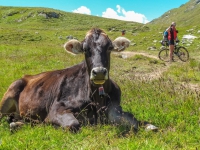 AX2011-Obersrdorf-Gardasee-03-Bodenalpe-042