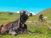 AX2011-Obersrdorf-Gardasee-03-Bodenalpe-043
