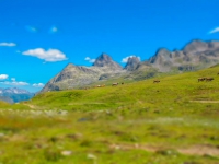 AX2011-Obersrdorf-Gardasee-03-Bodenalpe-045