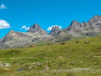 AX2011-Obersrdorf-Gardasee-03-Bodenalpe-046