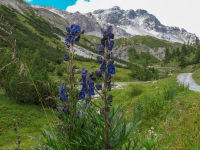 AX2011-Obersrdorf-Gardasee-05-Sondolo-009