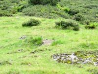 AX2014-Sankt_Anton-Gardasee-01-Zenisjoch-042