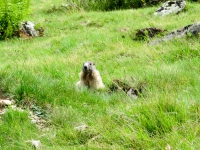 AX2014-Sankt_Anton-Gardasee-01-Zenisjoch-043