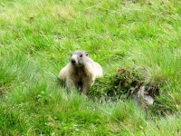 AX2014-Sankt_Anton-Gardasee-01-Zenisjoch-044
