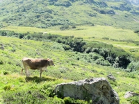AX2014-Sankt_Anton-Gardasee-01-Zenisjoch-051