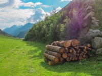 AX2014-Sankt_Anton-Gardasee-02-Scoul-022