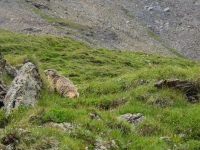 AX2014-Sankt_Anton-Gardasee-02-Scoul-137