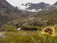 AX2014-Sankt_Anton-Gardasee-05-Passo_Tornale-018