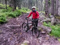 AX2014-Sankt_Anton-Gardasee-06-Madonna-051