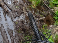 AX2014-Sankt_Anton-Gardasee-06-Madonna-059