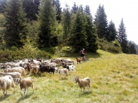 AX2014-Sankt_Anton-Gardasee-07-Riva-0033