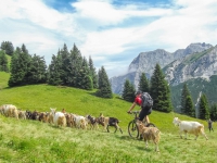 AX2014-Sankt_Anton-Gardasee-07-Riva-0035