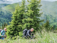 SAMSUNG CAMERA PICTURES