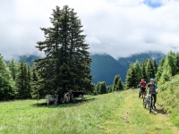 AX2016-Innsbruck-Gardasee-02-Fussendrass-0027