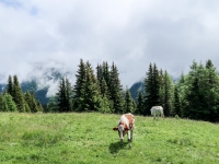 AX2016-Innsbruck-Gardasee-02-Fussendrass-0028