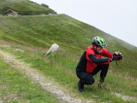 SAMSUNG CAMERA PICTURES