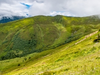 AX2016-Innsbruck-Gardasee-02-Fussendrass-0050