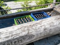 AX2016-Innsbruck-Gardasee-02-Fussendrass-0088