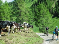 SAMSUNG CAMERA PICTURES