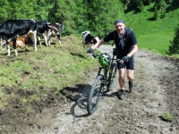 SAMSUNG CAMERA PICTURES