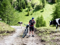 AX2016-Innsbruck-Gardasee-03-Natz-0013