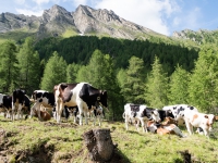 AX2016-Innsbruck-Gardasee-03-Natz-0014