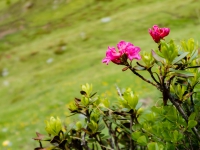 AX2016-Innsbruck-Gardasee-03-Natz-0038