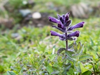 AX2016-Innsbruck-Gardasee-03-Natz-0047