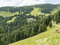 AX2016-Innsbruck-Gardasee-04-St_Nikolaus-0028