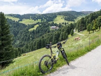 AX2016-Innsbruck-Gardasee-04-St_Nikolaus-0029