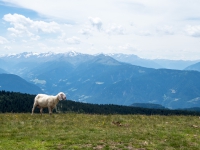 AX2016-Innsbruck-Gardasee-05-St_Apollonia-0031