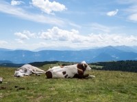 AX2016-Innsbruck-Gardasee-05-St_Apollonia-0032