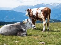 AX2016-Innsbruck-Gardasee-05-St_Apollonia-0037