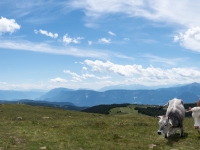 AX2016-Innsbruck-Gardasee-05-St_Apollonia-0038