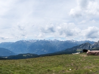 AX2016-Innsbruck-Gardasee-05-St_Apollonia-0039