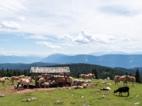 AX2016-Innsbruck-Gardasee-05-St_Apollonia-0062