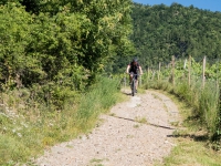 AX2016-Innsbruck-Gardasee-05-St_Apollonia-0065