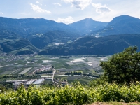 AX2016-Innsbruck-Gardasee-05-St_Apollonia-0067