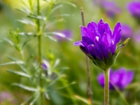 AX2016-Innsbruck-Gardasee-06-Rifugio_Sores-041