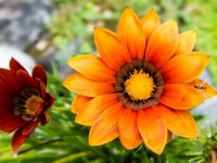 AX2016-Innsbruck-Gardasee-07-Andalo-0008