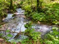 AX2016-Innsbruck-Gardasee-07-Andalo-0014