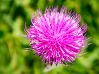 AX2016-Innsbruck-Gardasee-08-Riva-0031