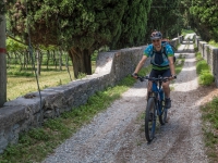 AX2016-Innsbruck-Gardasee-08-Riva-0040