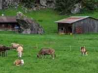 AX2018-Mayrhofen-Gardasee-01-Stilfes-0025